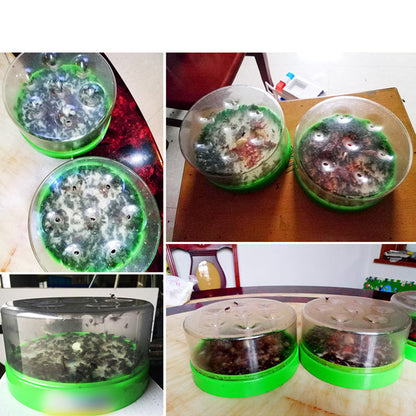 Reusable Non-Electric Fly Trap - Safe around kids, pets, and food.